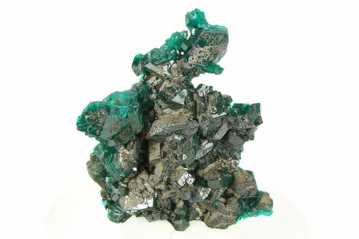 Lustrous Dioptase Crystal Epimorph - Congo #312420